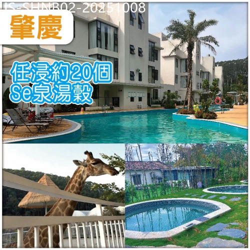 廣東旅遊線路|2025-10-08|高要 全新開業貓爪·龍貓美墅酒店 任浸Se泉湯穀 包入場貓爪野生動物園 品西江特色大盤魚宴 純玩2天