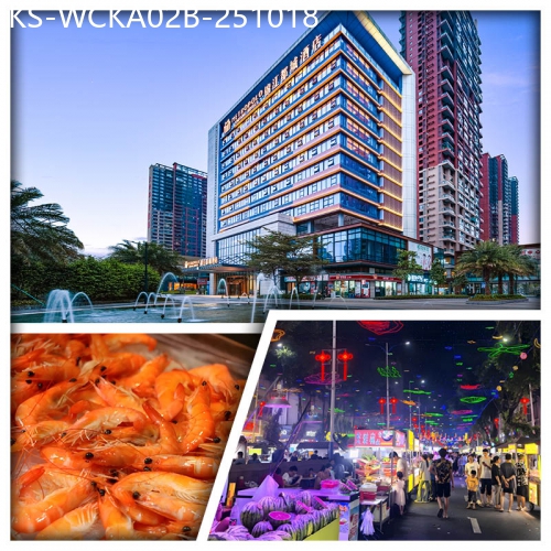 廣東旅遊線路|2025-10-18|(B線-10人成團) 惠陽全新聲控智能錦江都城酒店 酒店自助早午晚餐純玩2天