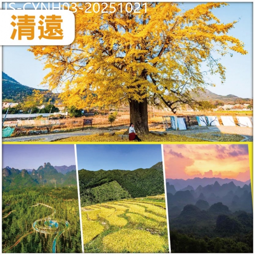 廣東旅遊線路|2025-10-21|連州 金色童話 羅漢千年銀杏 秋逸黃金黑山梯田 連住兩晚鬧市區酒店 美食純玩3天