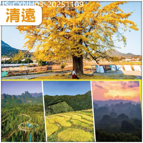 廣東旅遊線路|2025-11-09|連州 金色童話 羅漢千年銀杏 秋逸黃金黑山梯田 連住兩晚鬧市區酒店 美食純玩3天