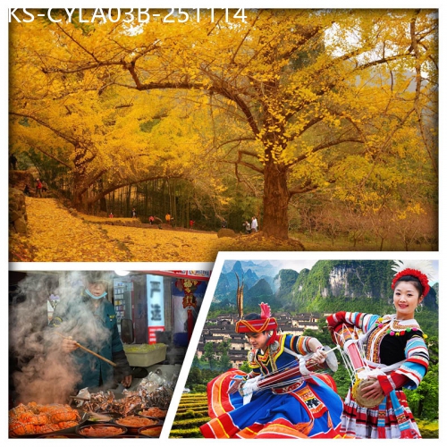 廣東旅遊線路|2025-11-14|B線-深山里的黃金秋色 連州銀杏林 連南千年瑤寨 賞瑤族歌舞表演 連州夜市美食街 純玩3天