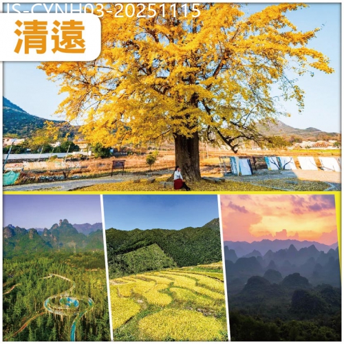 廣東旅遊線路|2025-11-15|連州 金色童話 羅漢千年銀杏 秋逸黃金黑山梯田 連住兩晚鬧市區酒店 美食純玩3天