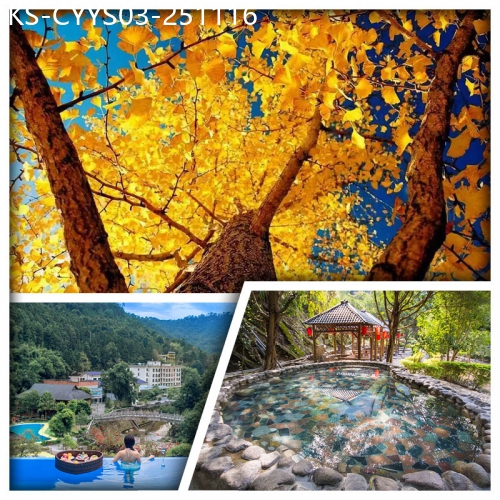 廣東旅遊線路|2025-11-16|連住2晚陽山第一峰天泉溫泉度假村 任浸高山真溫泉 賞古村千年銀杏 純玩3天