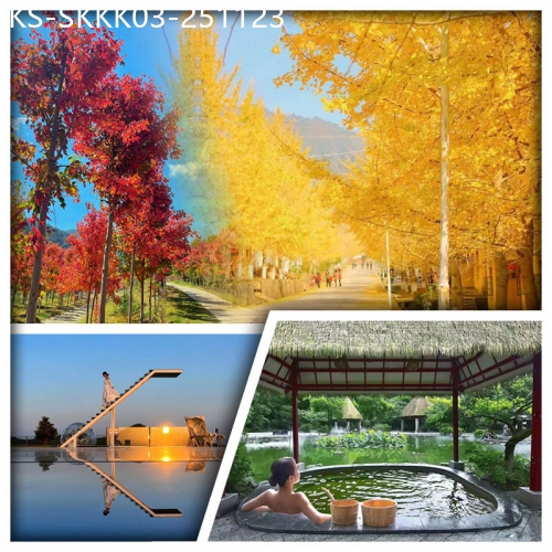 廣東旅遊線路|2025-11-23|韶關新豐嶺南紅葉世界賞紅楓、帽子峰銀杏林 包門票+景區環保車 雲天海溫泉度假村 任浸溫泉純玩3天