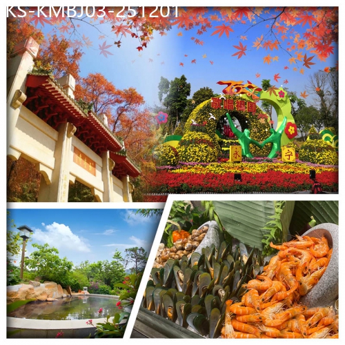 廣東旅遊線路|2025-12-01|中山小欖菊展盛會 新會圭峰山紅葉 台山正宗奄仔蟹 任浸咸淡雙溫泉&天際星空溫泉純玩3天