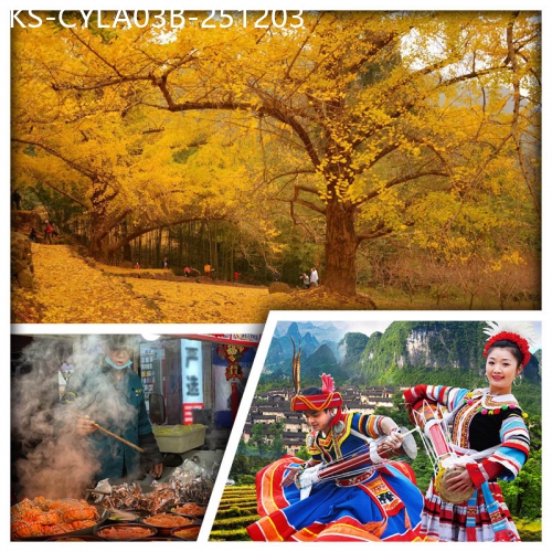 廣東旅遊線路|2025-12-03|B線-深山里的黃金秋色 連州銀杏林 連南千年瑤寨 賞瑤族歌舞表演 連州夜市美食街 純玩3天