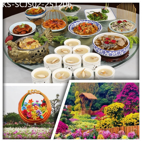 廣東旅遊線路|2025-12-06|中山小欖菊展盛會 邬佬伯私房菜 秋冬滋補『秘製姜油蛇 位上五指毛桃燉水鴨湯』純玩2天