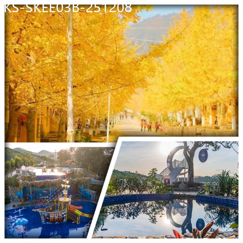 廣東旅遊線路|2025-12-08|B線-帽子峰銀杏林 連住2晚韶關湯泉谷溫泉酒店 入住帶獨立泡池客房 任浸弱硫磺真溫泉純玩3天
