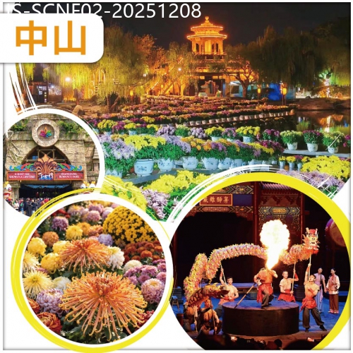 廣東旅遊線路|2025-12-08|佛山+中山 一年一度 小欖菊展31週年盛會 品菊花盛宴 必看【廣東千古情】大型實景SHOW 纯玩2天