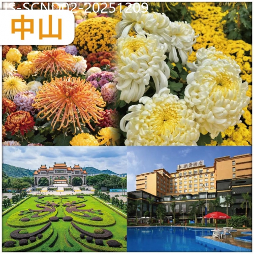 廣東旅遊線路|2025-12-09|順德+中山一年一度 【中國菊藝之鄉】 小欖菊展31週年盛會 品菊花盛宴 金秋與你蟹逅 純玩2天
