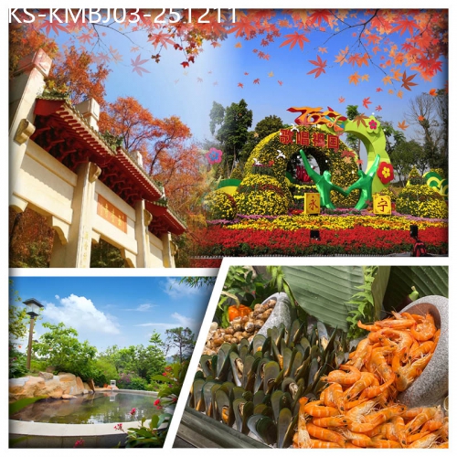 廣東旅遊線路|2025-12-11|中山小欖菊展盛會 新會圭峰山紅葉 台山正宗奄仔蟹 任浸咸淡雙溫泉&天際星空溫泉純玩3天