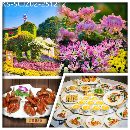 廣東旅遊線路|2025-12-12|中山小欖菊展盛會 位上花膠魚肚燴翅 陽澄湖大閘蟹 紅燒霹靂香茅乳鴿 腰纏萬貫黃金菊花宴美食2天
