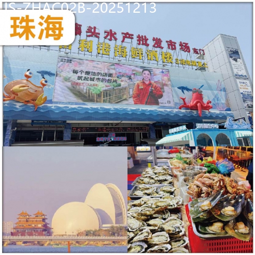 廣東旅遊線路|2025-12-13|珠海 饕餮食客天堂：斗門白藤頭水產批發市場 珠海地標：日月貝-野狸島 純玩2天