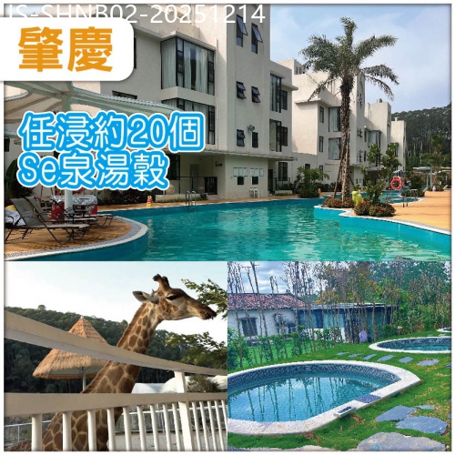 廣東旅遊線路|2025-12-14|高要 全新開業貓爪·龍貓美墅酒店 任浸Se泉湯穀 包入場貓爪野生動物園 品西江特色大盤魚宴 純玩2天