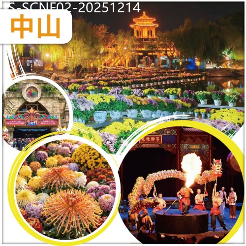 廣東旅遊線路|2025-12-14|佛山+中山 一年一度 小欖菊展31週年盛會 品菊花盛宴 必看【廣東千古情】大型實景SHOW 纯玩2天