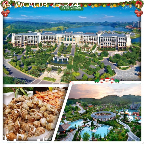 廣東旅遊線路|2025-12-24|（聖誕加班）河源葉園溫泉度假村+惠州白鷺湖雅居樂喜來登度假酒店 任浸客家風情蘇打溫泉 純玩3天
