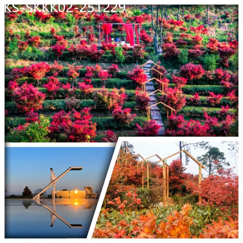 廣東旅遊線路|2025-12-29|秋日楓景 邂逅紅色童話世界 新豐嶺南紅葉世界 賞萬株楓樹 網紅天空之境 純玩2天