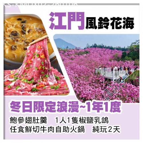 廣東旅遊線路|2026-01-06|江門紫色風鈴花海 送1人1隻臘鴨帶回家 任食鮮切牛肉自助火鍋純玩2天