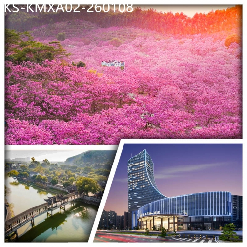 廣東旅遊線路|2026-01-08|江門冬日賞紫色風鈴花海 中山大宅門『詹園』 輕奢享受江門希岸Deluxe酒店純玩2天