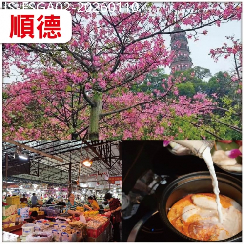 廣東旅遊線路|2026-01-10|【辦年貨】顺德 新春辦年貨：南海批發農鮮產品批發市場 觀賞秋日限定粉色浪漫.異木棉 純玩2天