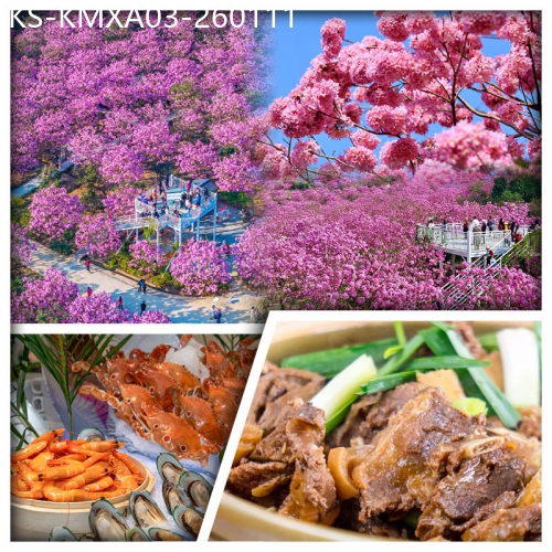 廣東旅遊線路|2026-01-11|江門賞漫山遍野紫色風鈴花海 中山國際酒店 豪歎酒店自助晚餐純玩3天