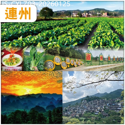 廣東旅遊線路|2026-01-25|連州菜心季 菜是故鄉甜 暢遊嶺南古邑連州 領略瑤家風情油嶺千戶瑤寨 連州攝影聖地【萬山朝王】純玩3天