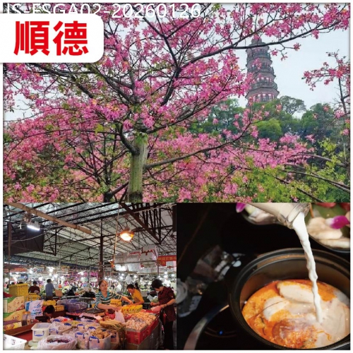 廣東旅遊線路|2026-01-26|【辦年貨】顺德 新春辦年貨：南海批發農鮮產品批發市場 觀賞秋日限定粉色浪漫.異木棉 純玩2天