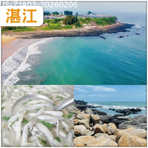 廣東旅遊線路|2026-02-06|鮮美湛江-中國第一大火山島 湛江八景 之首【硇洲島旅遊區】美食純玩3天團