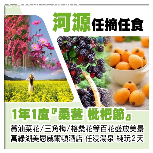 廣東旅遊線路|2026-04-13|賞花摘果~1年1度『桑葚、枇杷節』任摘任食 河源萬綠湖美思威爾頓酒店 任浸多個中藥湯泉 純玩2天