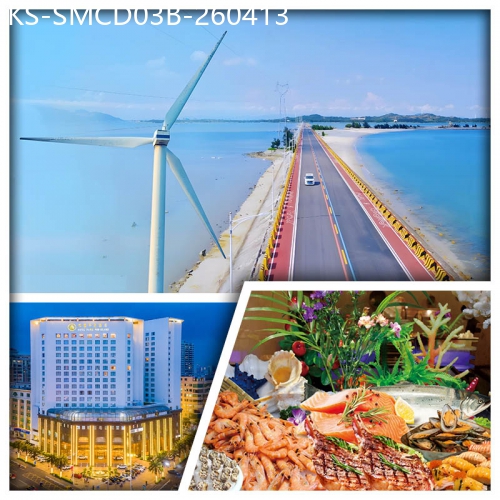 廣東旅遊線路|2026-04-13|B線-車遊海上公路 風車島 海上古堡 汕尾巴黎半島酒店+汕尾海迪溫德姆酒店（嘆酒店自助晚餐）純玩3天