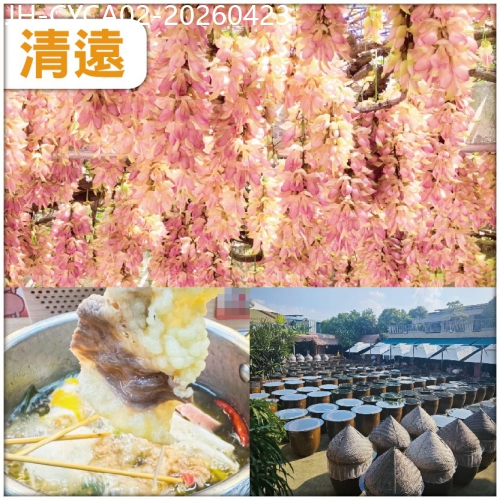 廣東旅遊線路|2026-04-23|清遠  賞一年一度禾雀花 食1人1鍋任食火鍋宴 入住清遠君隆酒店/同級 抵玩2天