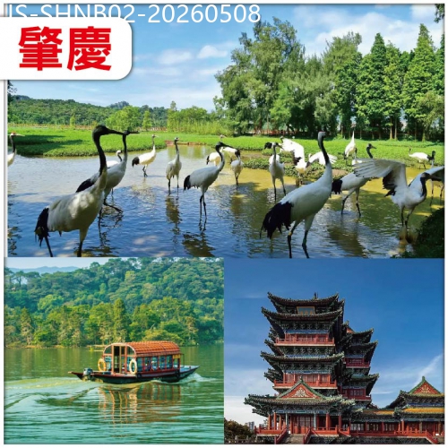 廣東旅遊線路|2026-05-08|肇慶 夜遊肇慶人氣最旺打卡點.宋城騎樓街  重本包船遊星湖仙女湖景區 肇慶全.諾華庭酒店 純玩2天