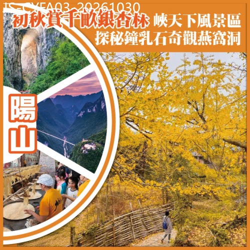 廣東旅遊線路|2026-10-30|清遠 陽山初秋賞千畝銀杏林 峽天下風景區 探秘鐘乳石奇觀燕窩洞  純玩3天