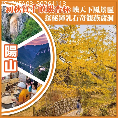 廣東旅遊線路|2026-11-13|清遠 陽山初秋賞千畝銀杏林 峽天下風景區 探秘鐘乳石奇觀燕窩洞  純玩3天